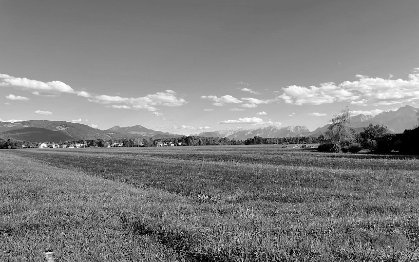 Haus im Moos